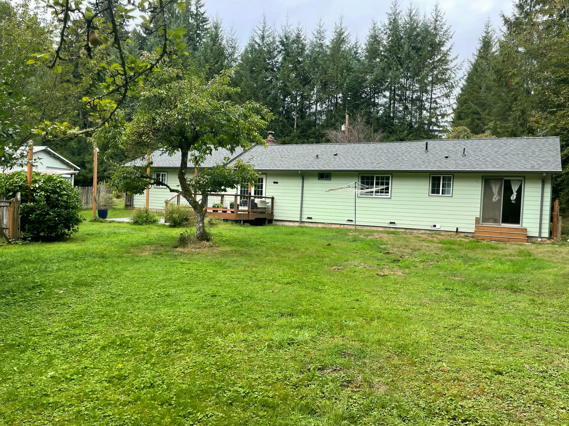 The house seen across the lawn: single storey, sage-green siding, a grey gable roof and a brick chimney, with fruit trees in the foreground and a wall of conifers behind.